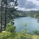 In The Franconian Forest 度假居 *