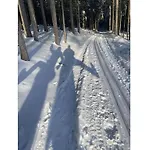 In The Franconian Forest