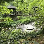 In The Franconian Forest