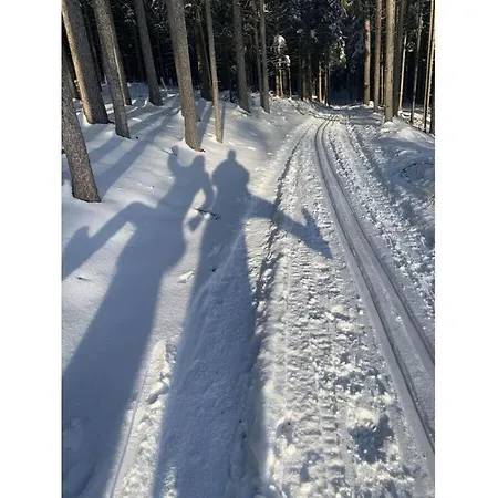 In The Franconian Forest